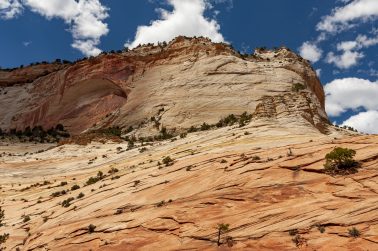 Arches in Zion East Canyon