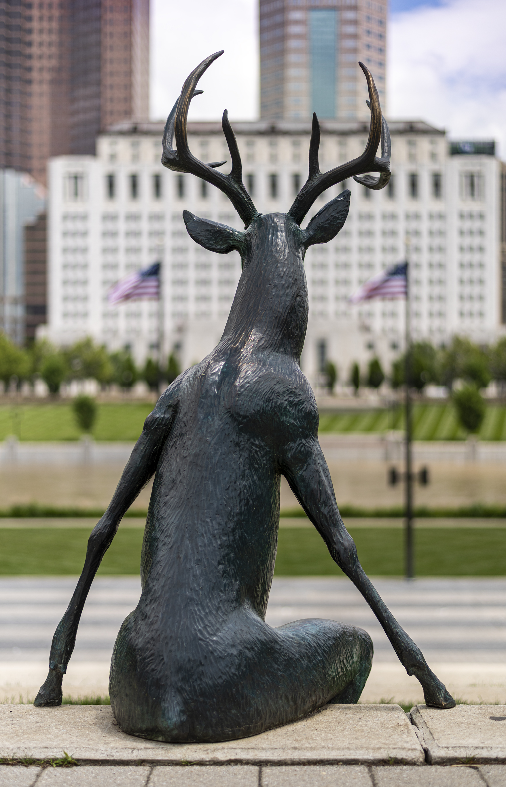 Deer looking across the Scioto River in Genoa Park, downtown Columbus Ohio