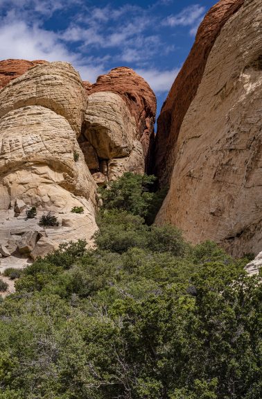 Guarded Slot within the Calico Hills Red Rock Canyon National Conservation Area