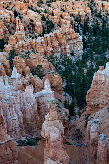 Hoodoos in Spring Zion National Park