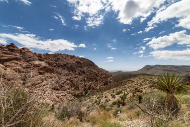 Looking northwest from the Calico Basin, Red Rock Canyon National Conservation Area