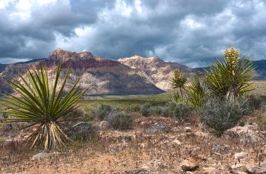 Storms Roll Over Bridge Mountain, Red Rock Canyon National Conservation Area