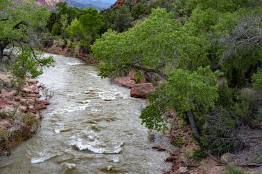 The Virgin River at Sunset, Zion National Park