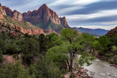 The Watchmen at Sunset, Zion National Park